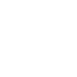 Icono